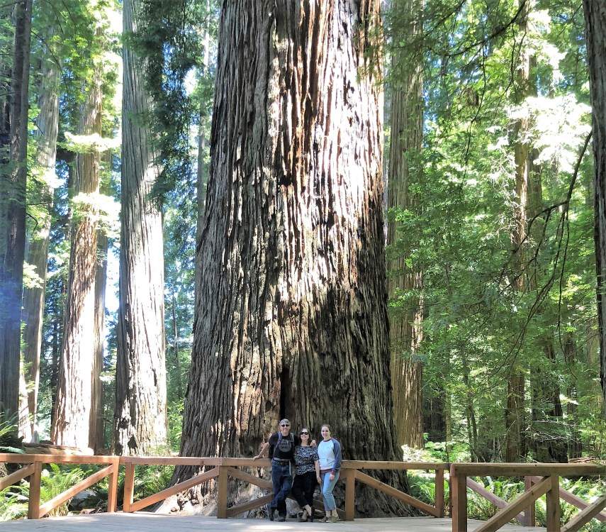 3 and a big tree.jpg